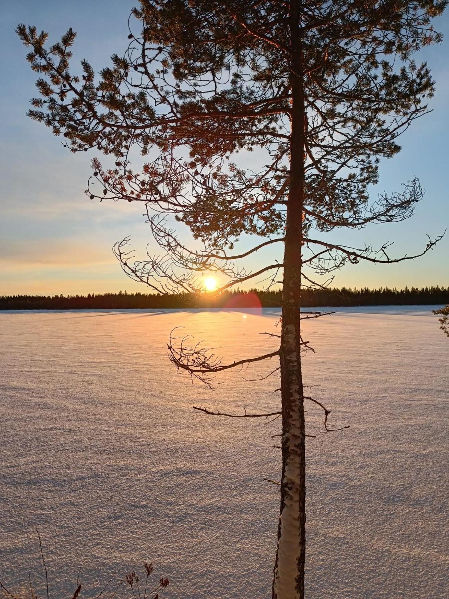 Arctic Deluxe Rovaniemi